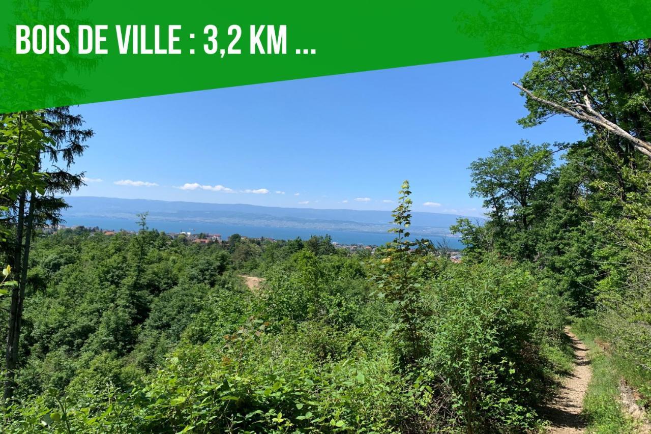 Viva Leman- Hypercentre - Vue Panoramique- Parking - Wifi Leilighet Thonon-les-Bains Eksteriør bilde